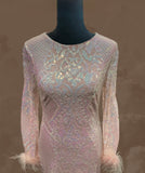 Baby Pink beaded sequined Long sleeve dress
