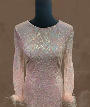 Baby Pink beaded sequined Long sleeve dress