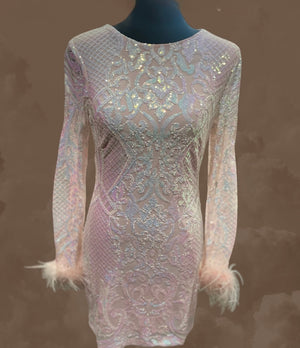 Baby Pink beaded sequined Long sleeve dress